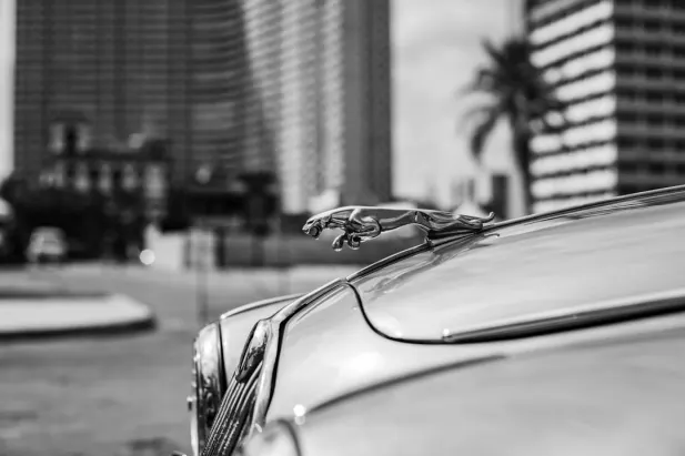 Kasino Loyal Bet Android/iOS Aplikácia